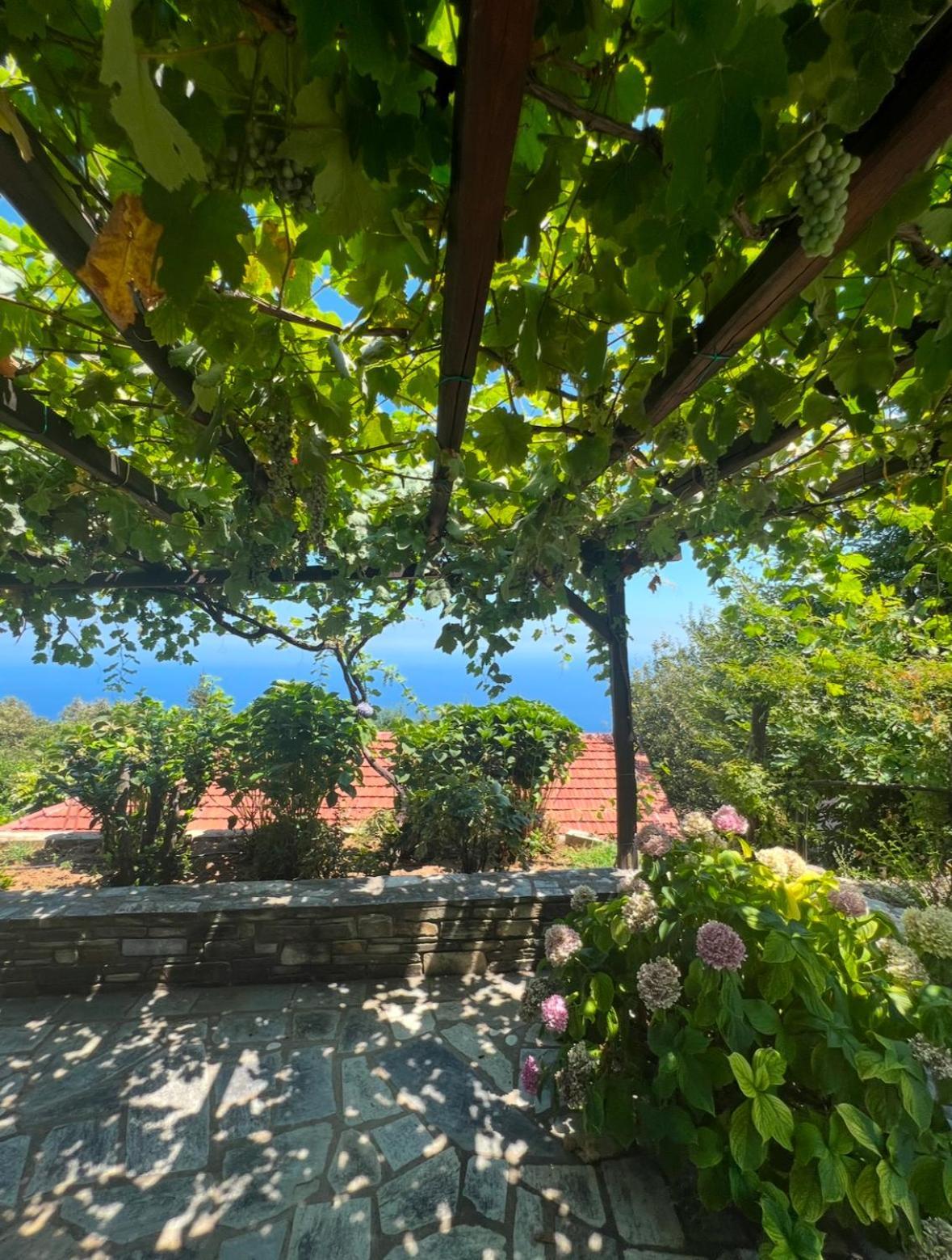 Апартаменты Om Living Pelion Агиос-Димитриос Экстерьер фото